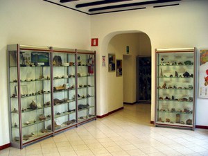 Museo Civico di Storia Naturale