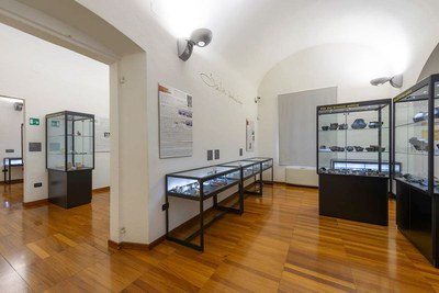 Museo Civico "G.Bellini"