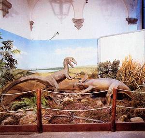 Museo Civico Paleontologico