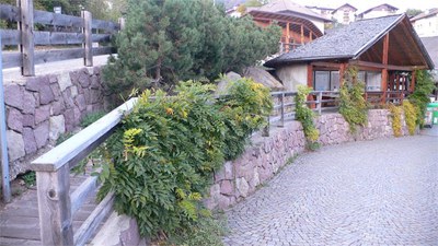 Museo dei Fossili