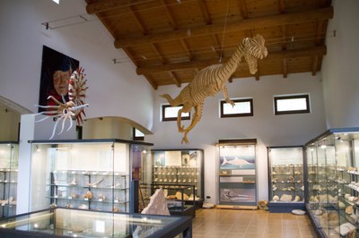 Museo Geopaleontologico di Camposilvano