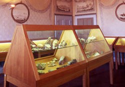 Museo dei Fossili e di Storia Naturale "N. Bruni"