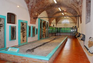 Museo dei Fossili "P. Malinverni"