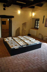 Museo del Gesso