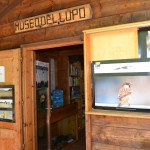 Museo del Lupo