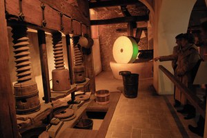 Museo della Civiltà dell’Ulivo