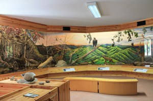 Museo della Fauna e dei Sensi