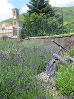 Museo della Lavanda