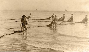 Museo della piccola pesca e delle conchiglie