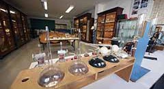 Museo delle Scienze "M. Hack"