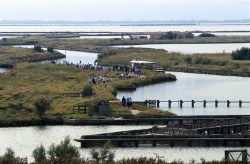 Museo delle Valli di Comacchio