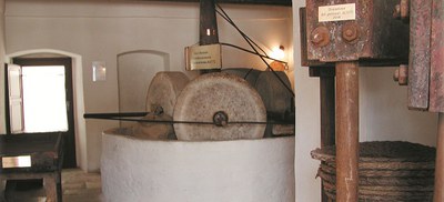 Museo dell'Olio di Alberobello