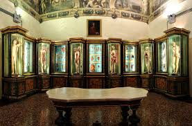 Museo di Palazzo Poggi