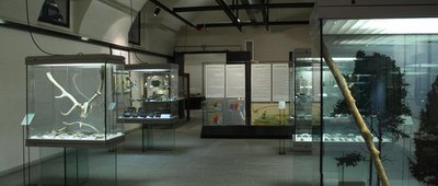 Museo di Preistoria e Protostoria