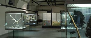 Museo di Preistoria e Protostoria