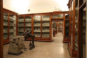 Museo di Scienze Naturali del Collegio "Mellerio Rosmini"