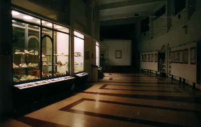 Museo di scienze naturali Nizza di Sicilia