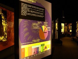 Museo di Speleologia e Carsismo 'A. Parolini'