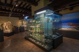 Museo di storia naturale