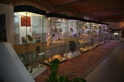 Museo di Storia Naturale 'Maria Gardoni Mosconi'