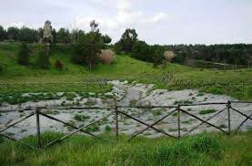 Museo e Parco dei Fossili di Cava Lustrelle