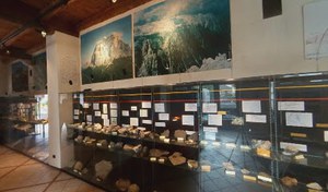 Museo di geologia, paleontologia e mineralogia delle Dolomiti agordine