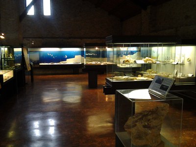 Museo Geopaleontologico 'Cava Bomba'