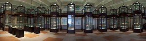 Museo 'I Minerali Elbani della Gente di Rio'