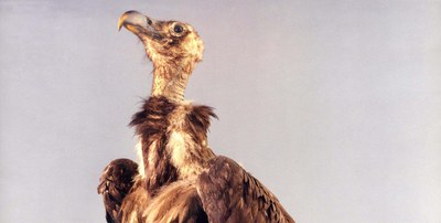 Museo Naturalistico-Archeologico