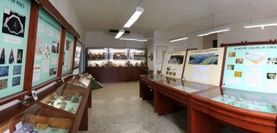 Museo Paleontologico di Priabona