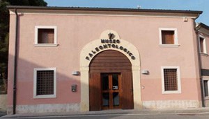 Museo Paleontologico di Roncà