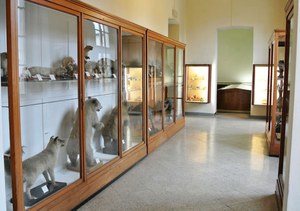 Museo Storia Naturale