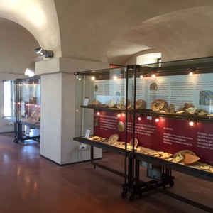 Museo storico archeologico di Savona