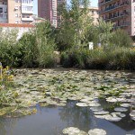 Orto Botanico del Museo di Storia Naturale del Mediterraneo