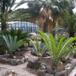 Orto botanico "Pietro Castelli" di Messina