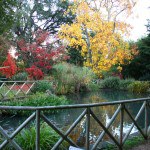 Orto botanico Università di Roma "La Sapienza"