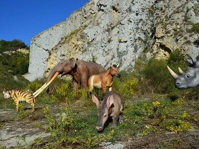 Parco Museo Geologico Cava Monticino