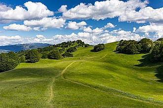 Parco naturale regionale dell'Antola