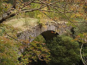 Parco naturale regionale dell'Aveto