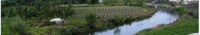 Parco regionale Bacino Idrografico del fiume Sarno