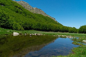 Parco regionale delle Valli del Cedra e del Parma