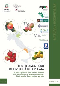 Frutti dimenticati e biodiversità recuperata. Il germoplasma frutticolo e viticolo delle agricolture tradizionali italiane. Casi studio: Campania e Veneto