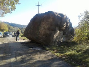 Aggiornamento del 14 novembre