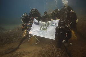 Il trapianto di Posidonia di Ischia - Life SEPOSSO