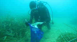 Progetto Life SEPOSSO - Il trapianto di Posidonia di S. Marinella e Civitavecchia