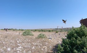 Da Matera, lungo la rotta di quattro giovani capovaccai