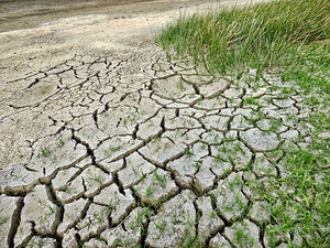 Mari e Alpi alla prova dei cambiamenti climatici