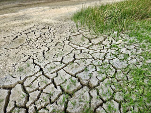 Cambiamenti climatici