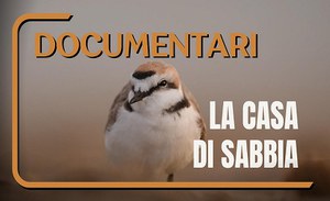 Documentario ISPRA "La casa di sabbia"