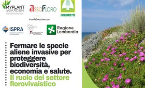 Fermare le specie aliene invasive per proteggere biodiversità, economia e salute